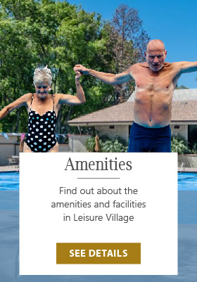 Leisure Village Amenities